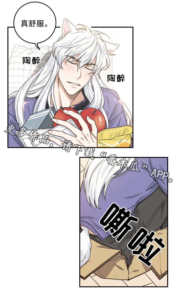 第11章：钻箱子7