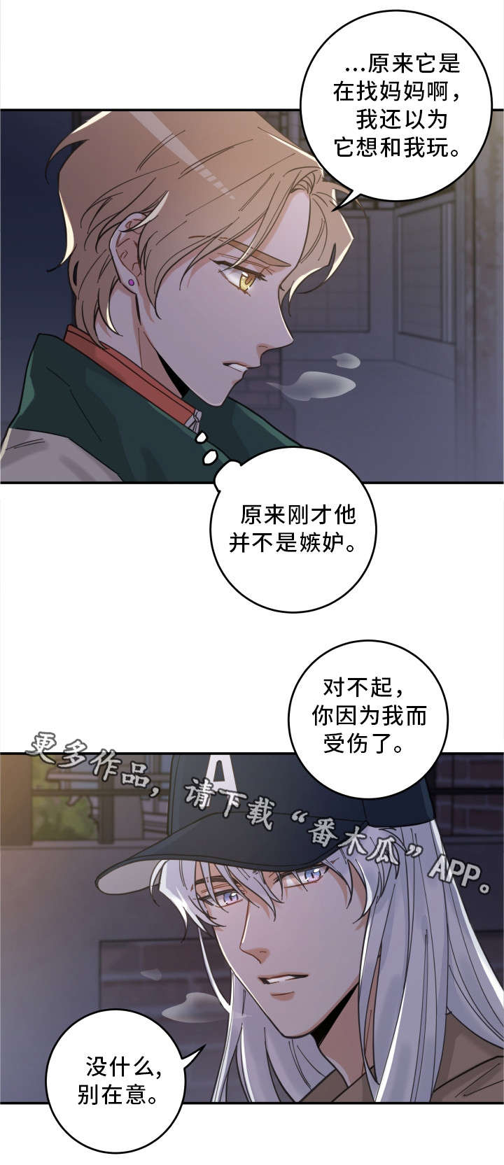 第15章：抓伤14