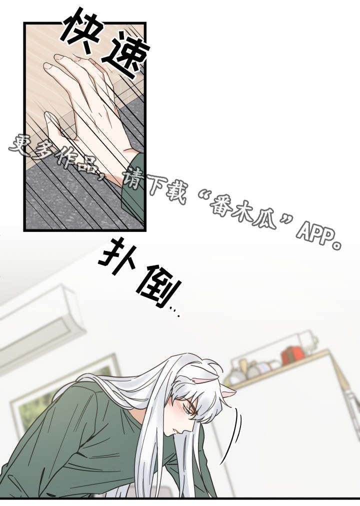 第29章：不能浪费13