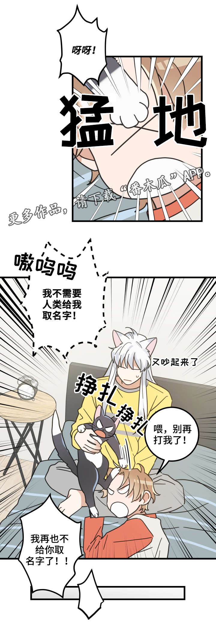 第42章：臭猫10