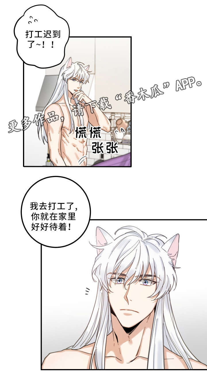 第6章：猫呢10