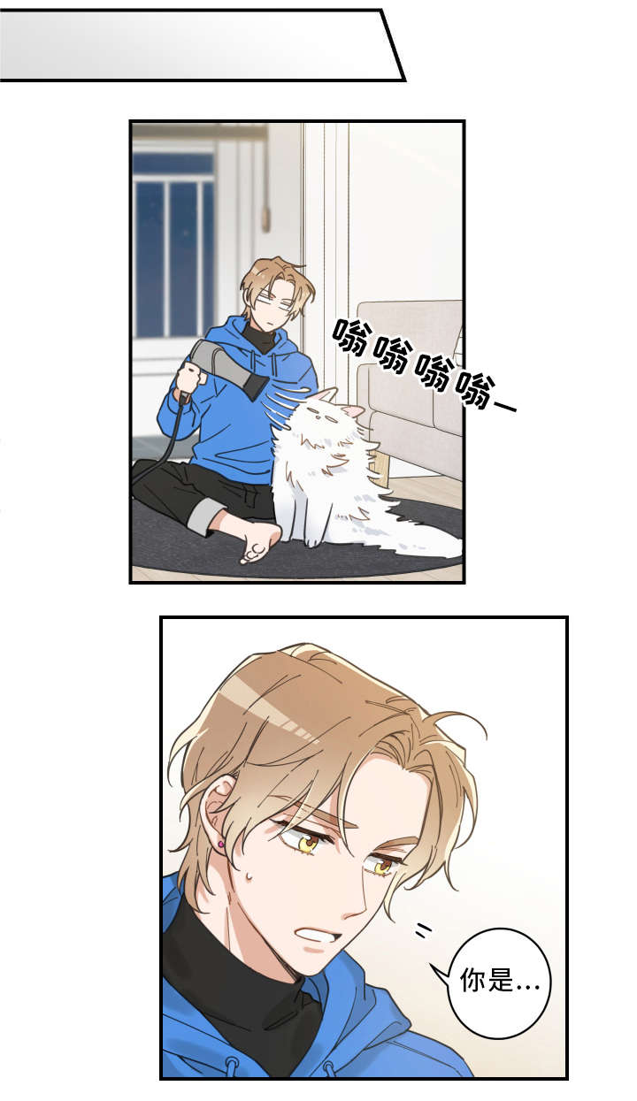 第2章：白猫5