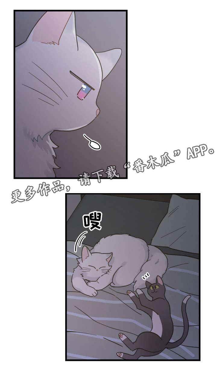第39章：你别走5