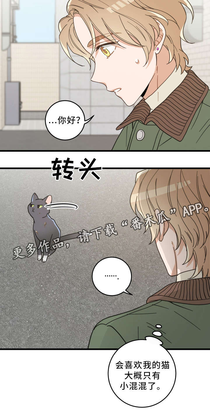第31章：黑猫7