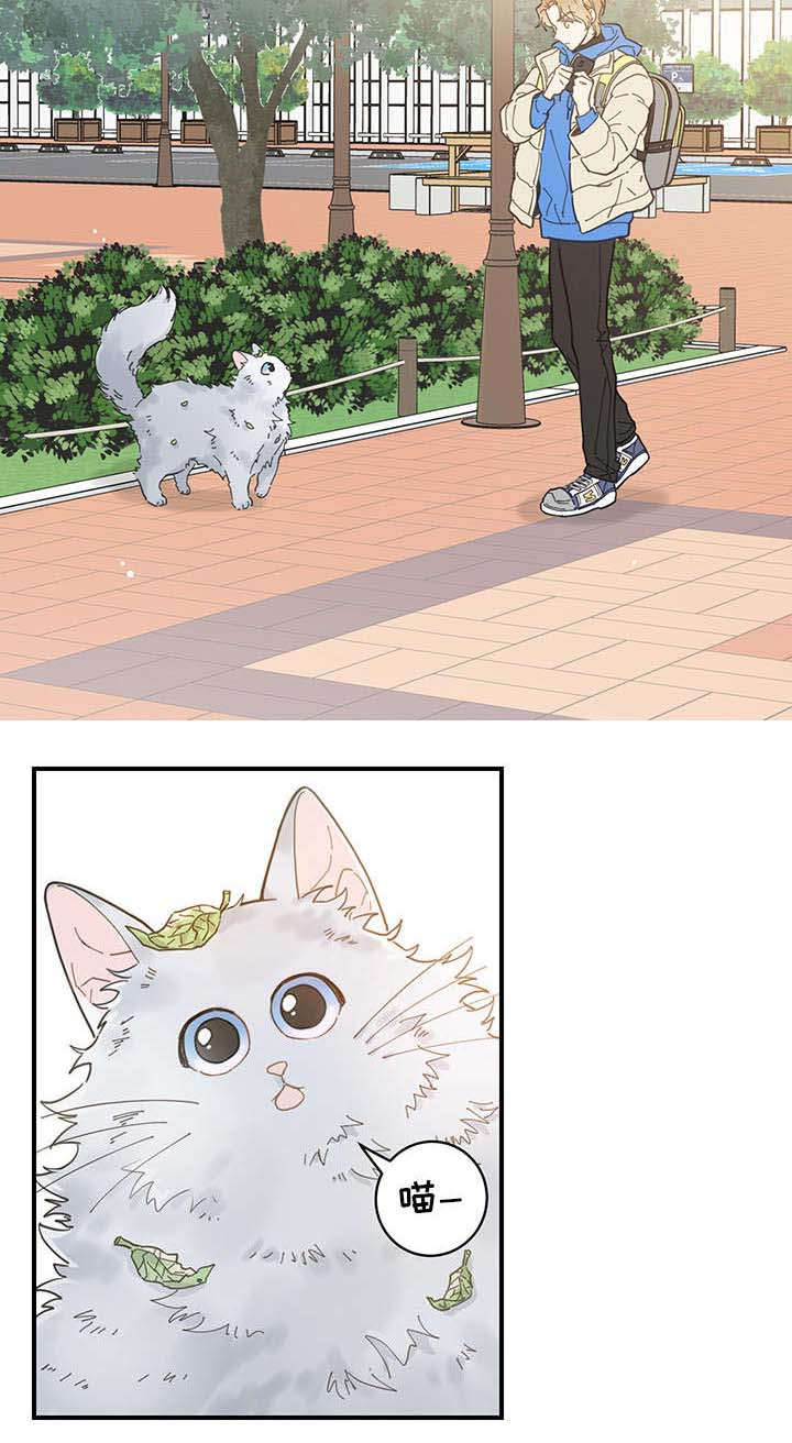 第1章：传说10