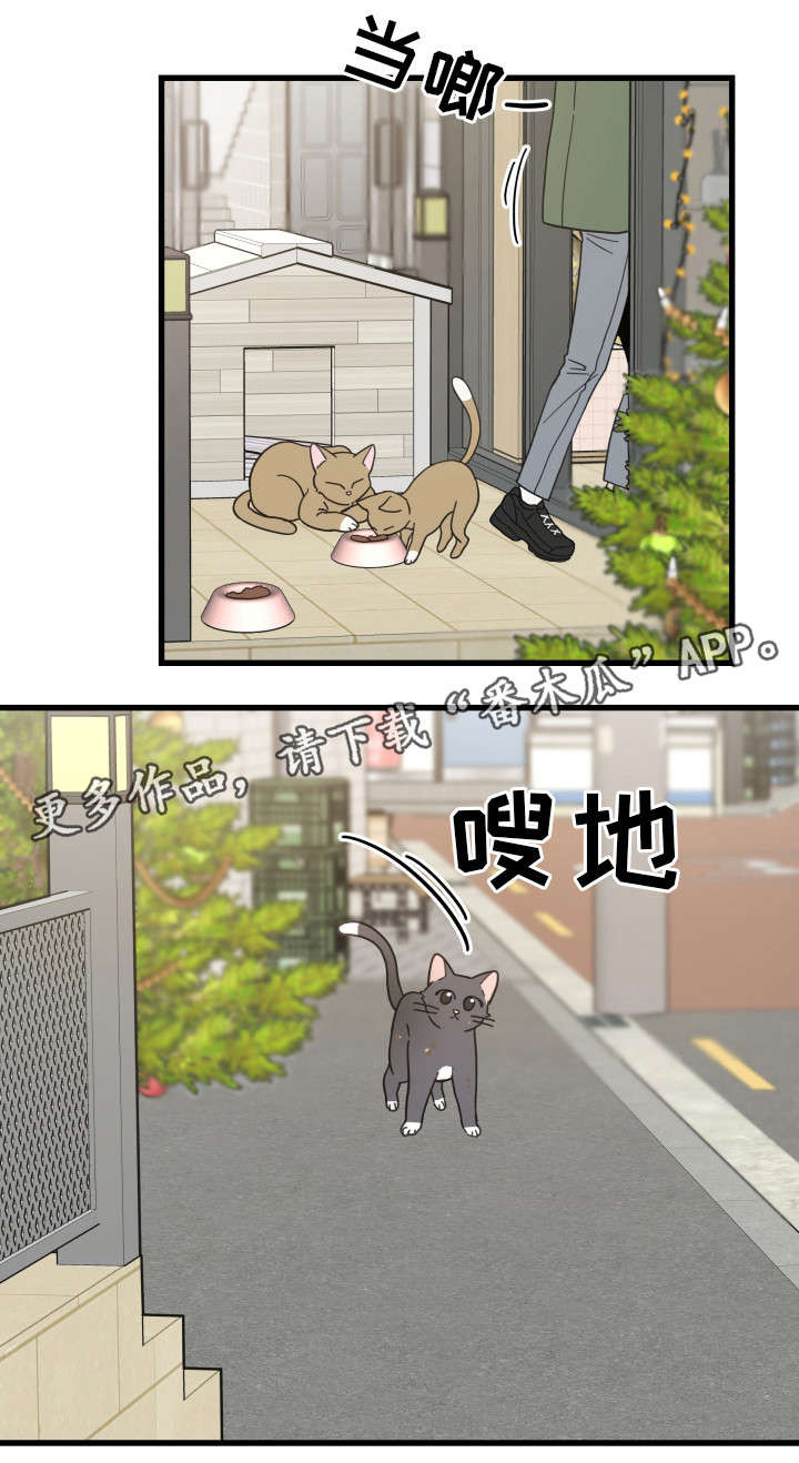 第31章：黑猫16