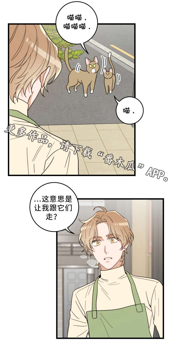第32章：晕倒8