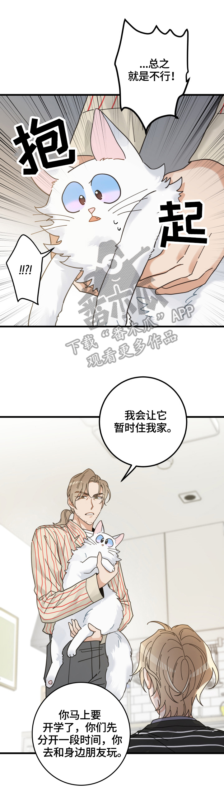 第59章：不同意10