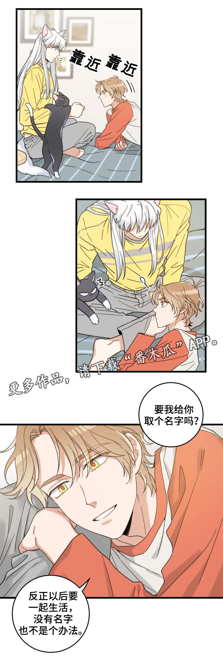 第42章：臭猫8