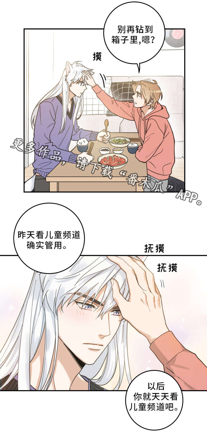 第11章：钻箱子14