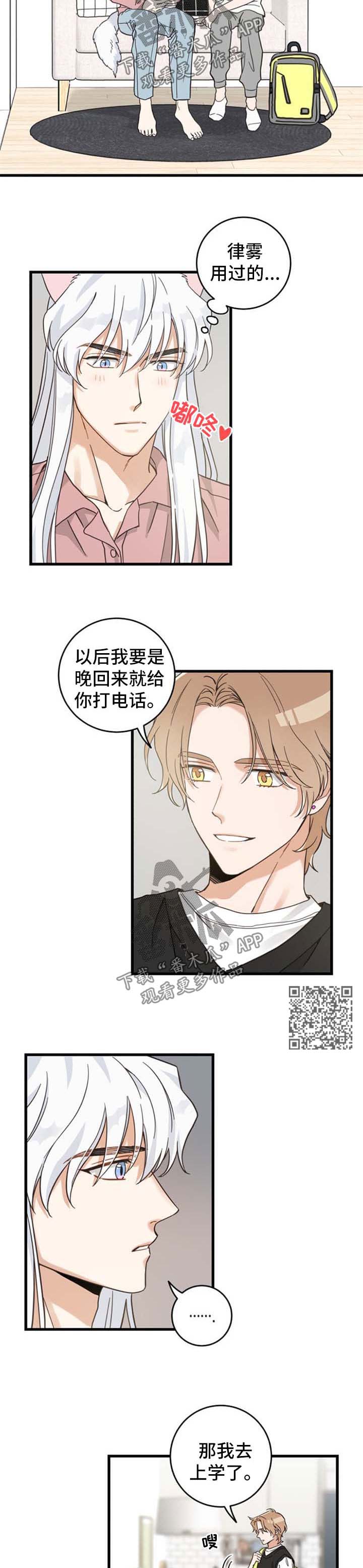 第90章：像梦一样3