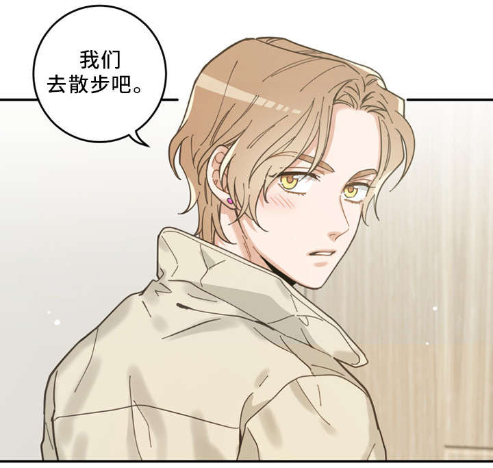 第14章：散步9