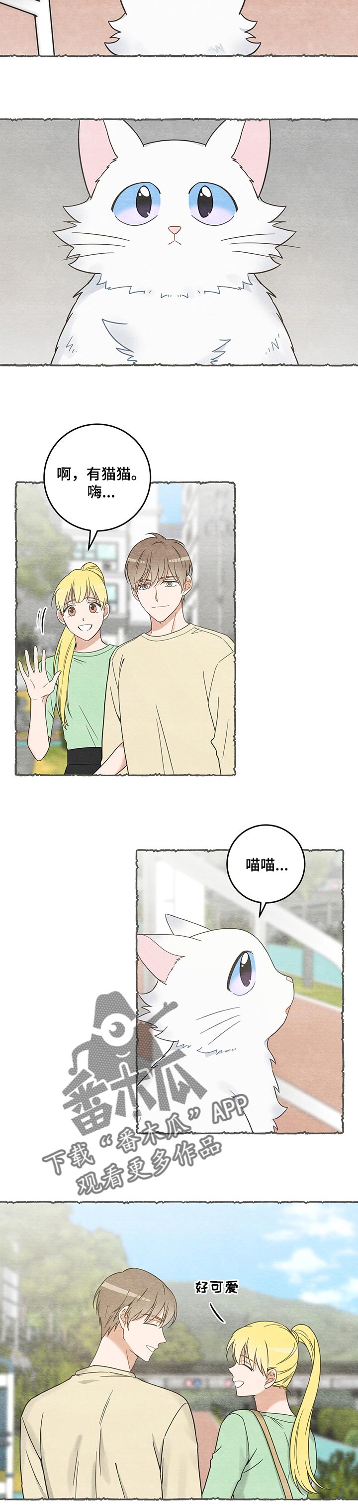 第104章：失踪了3