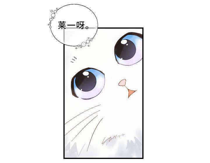 第2章：白猫10