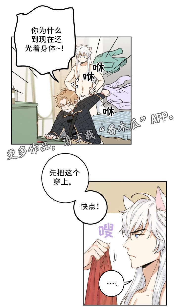 第7章：衣服6