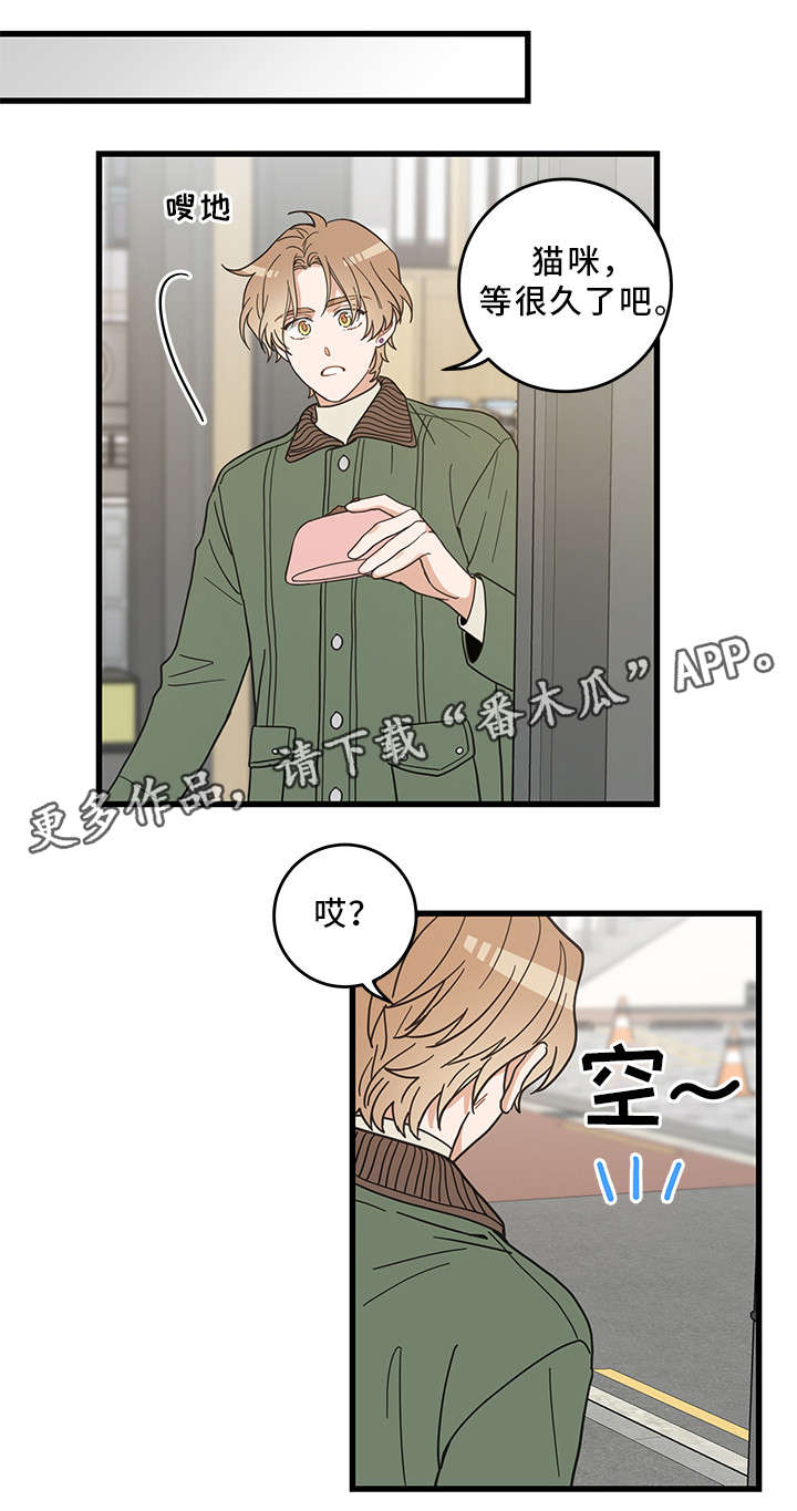第31章：黑猫12