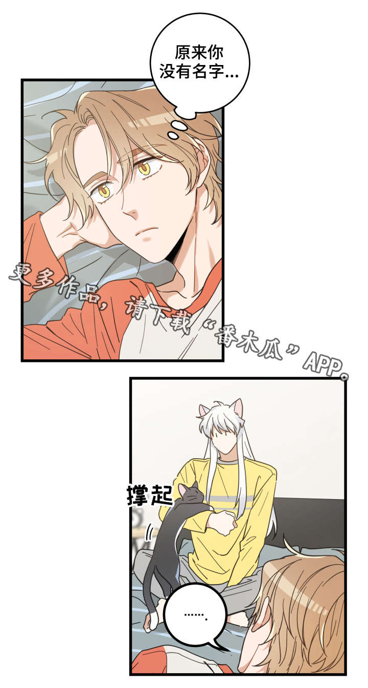 第42章：臭猫7