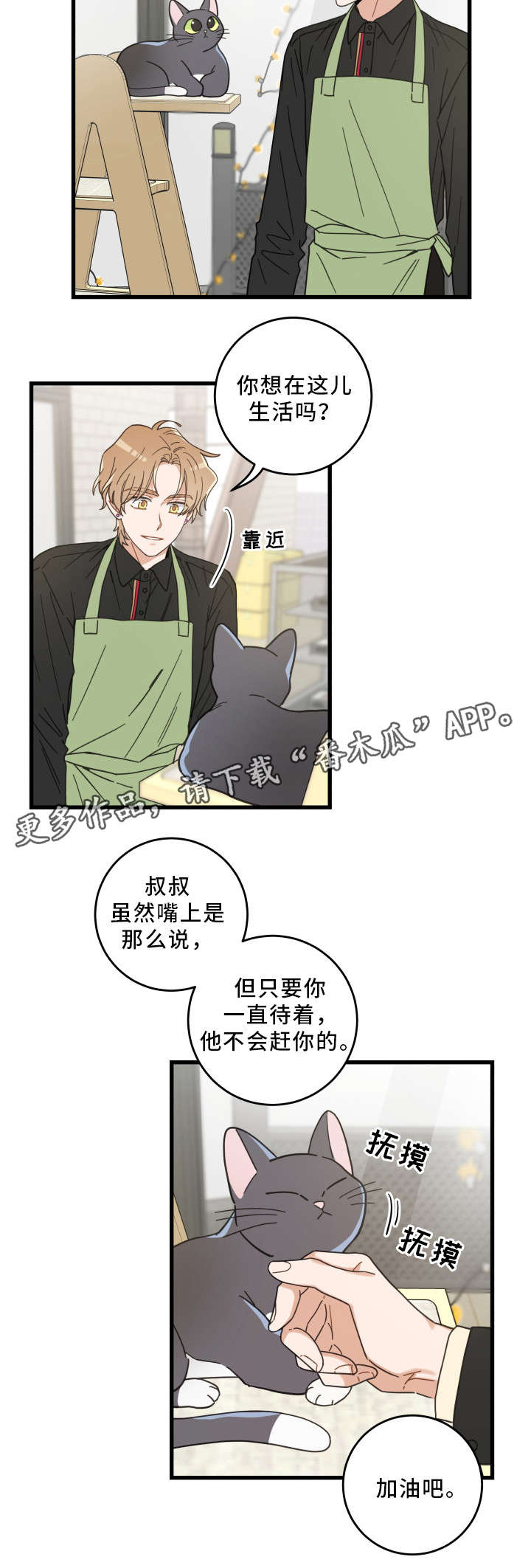 第35章：盯12