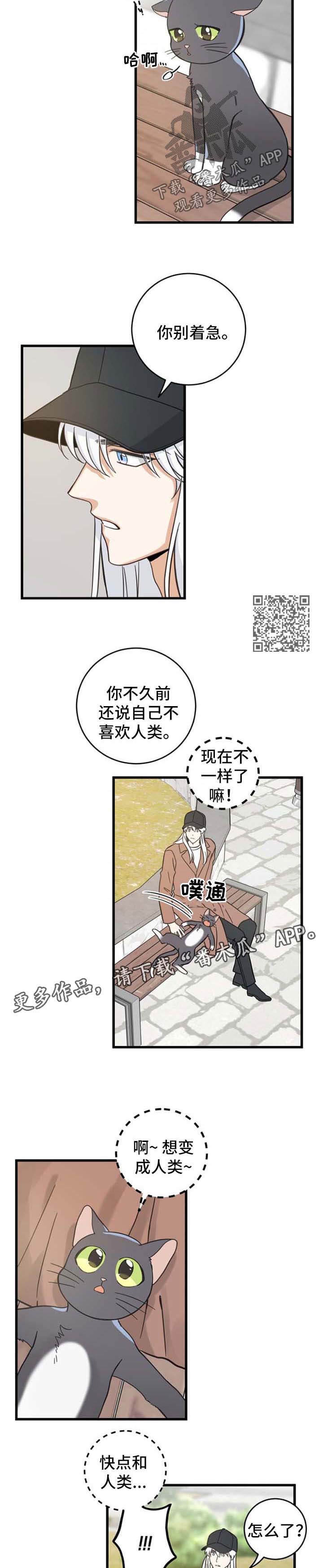 第91章：偶遇2