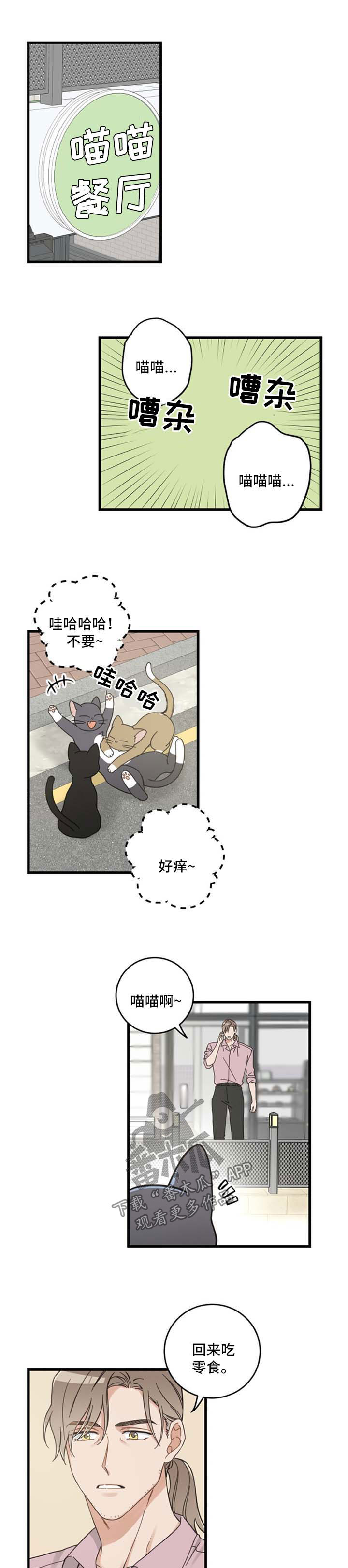 第94章：忧愁4
