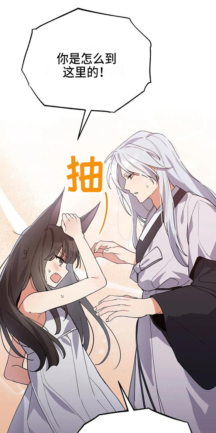 第19章：晕倒7