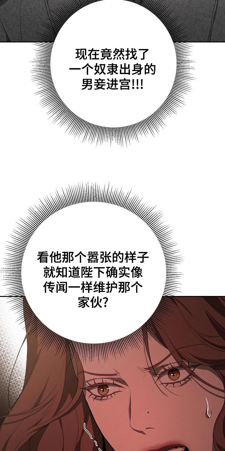 第29章：迎接夏季的宴会8