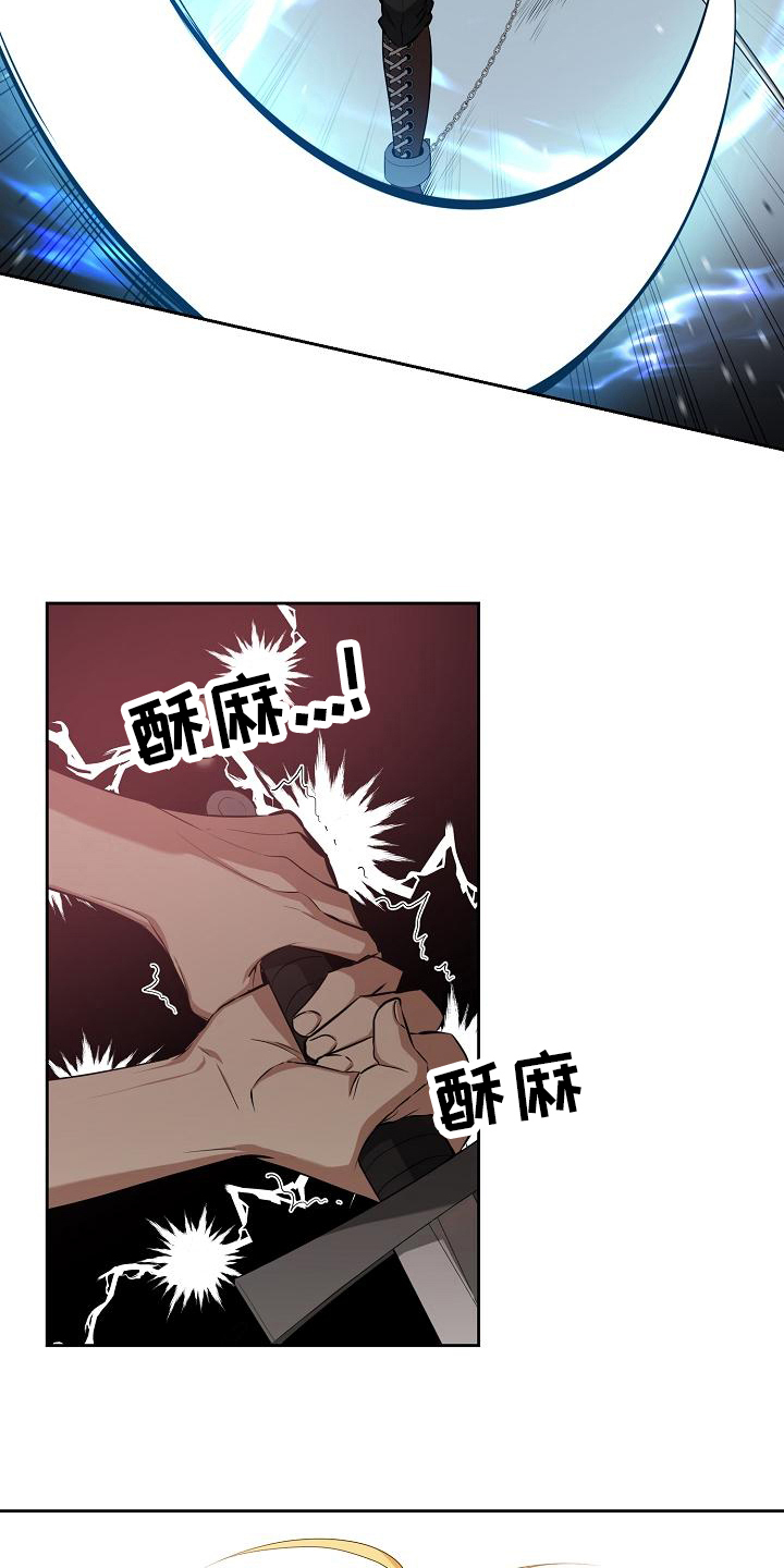 第38章：剑术大师7