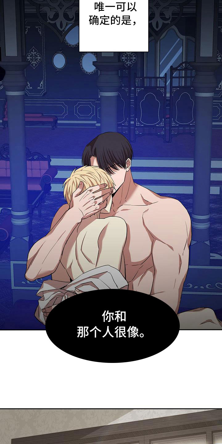 第8章：很像那个人11