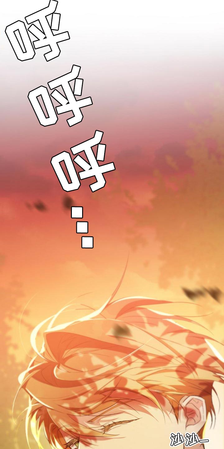 第49章：合适的选择25