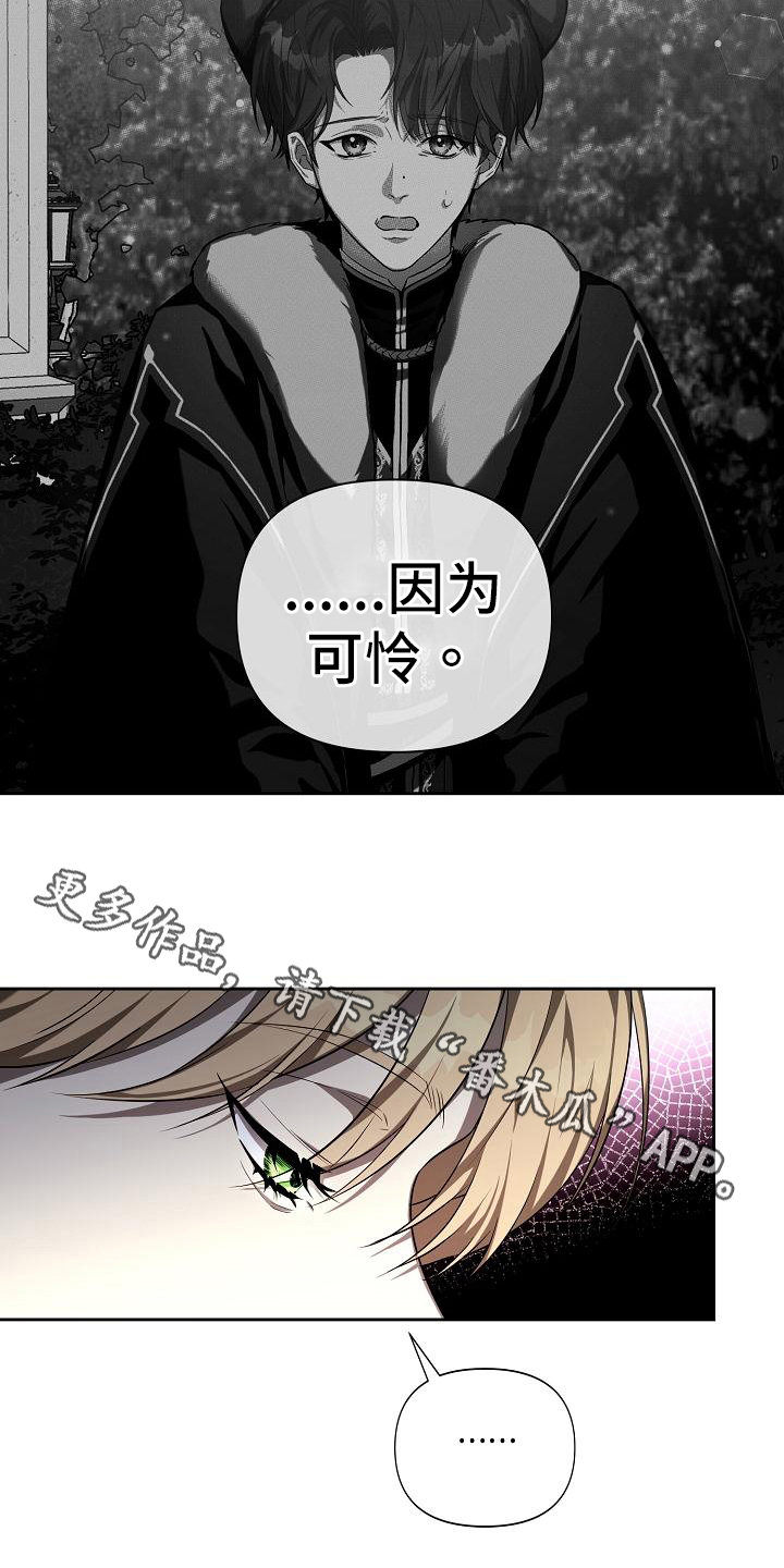 第33章：因为可怜19