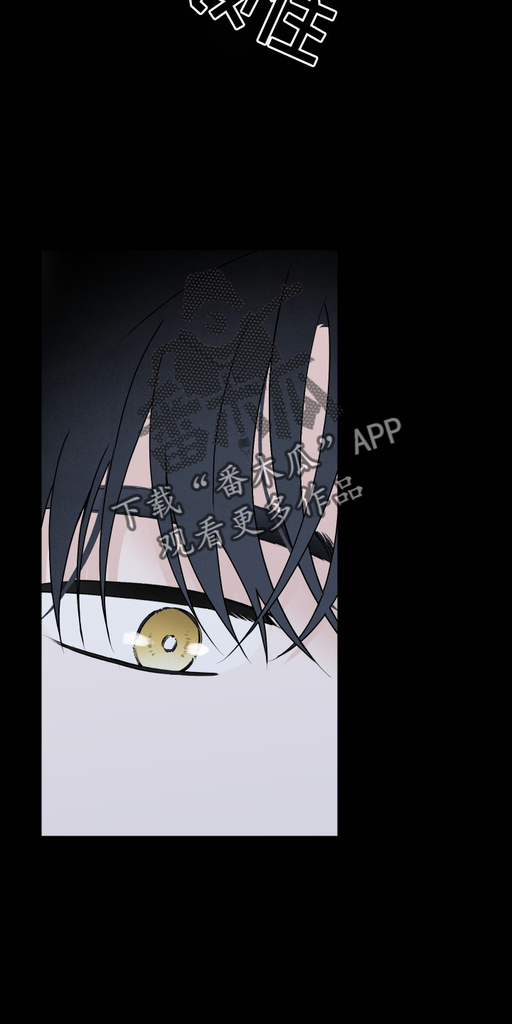 第26章：负责11