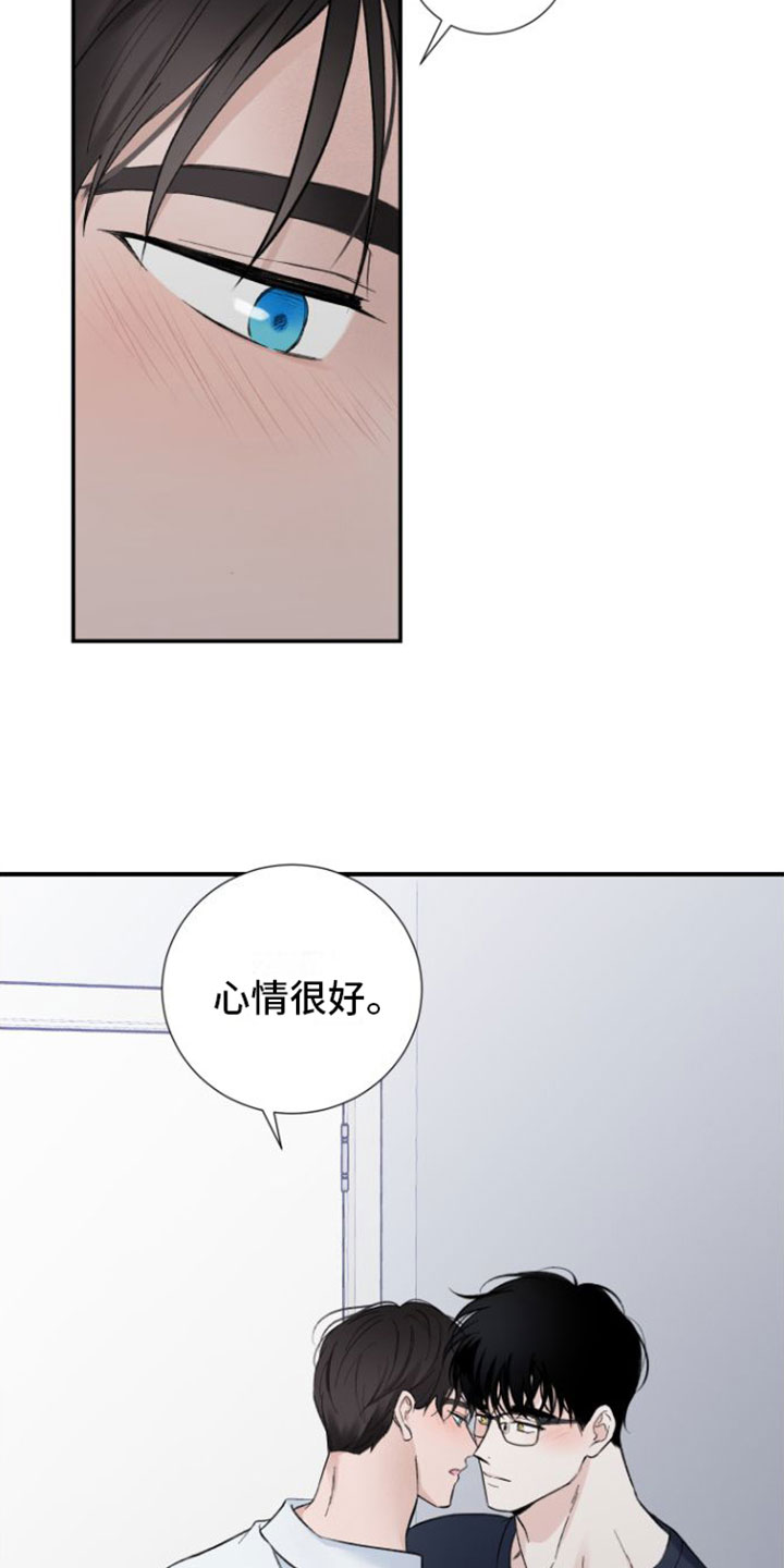第11章：打破计划14