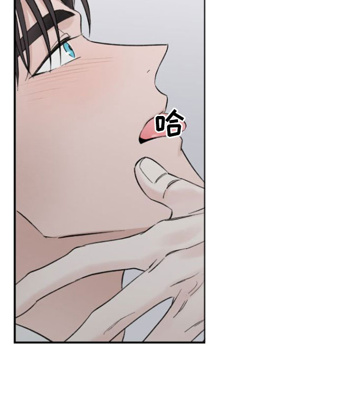 第11章：打破计划19