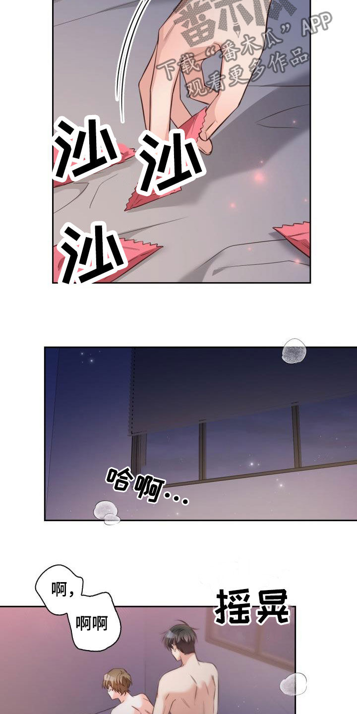 第30章：你骂我看看6
