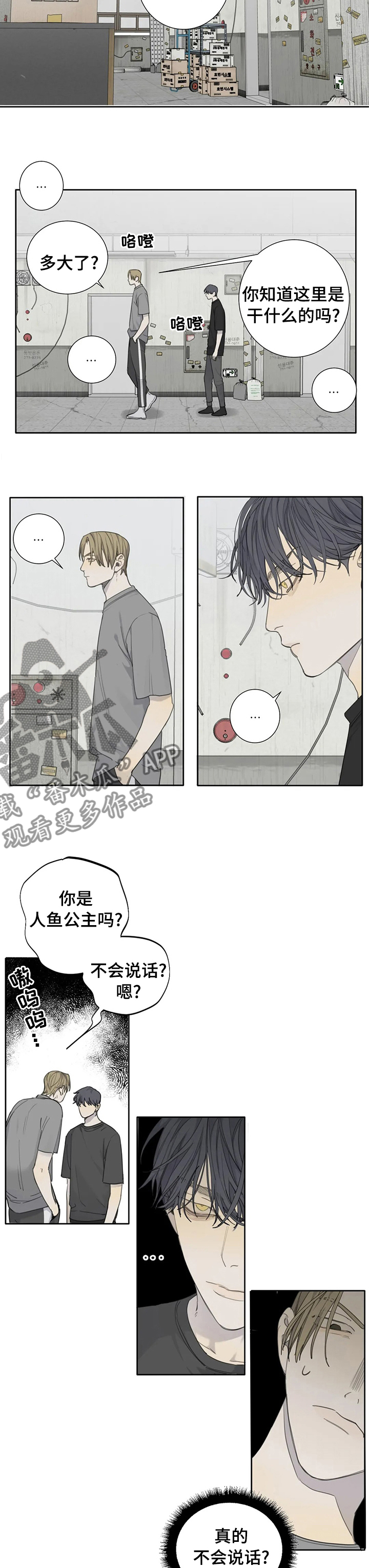 第32章：5年3