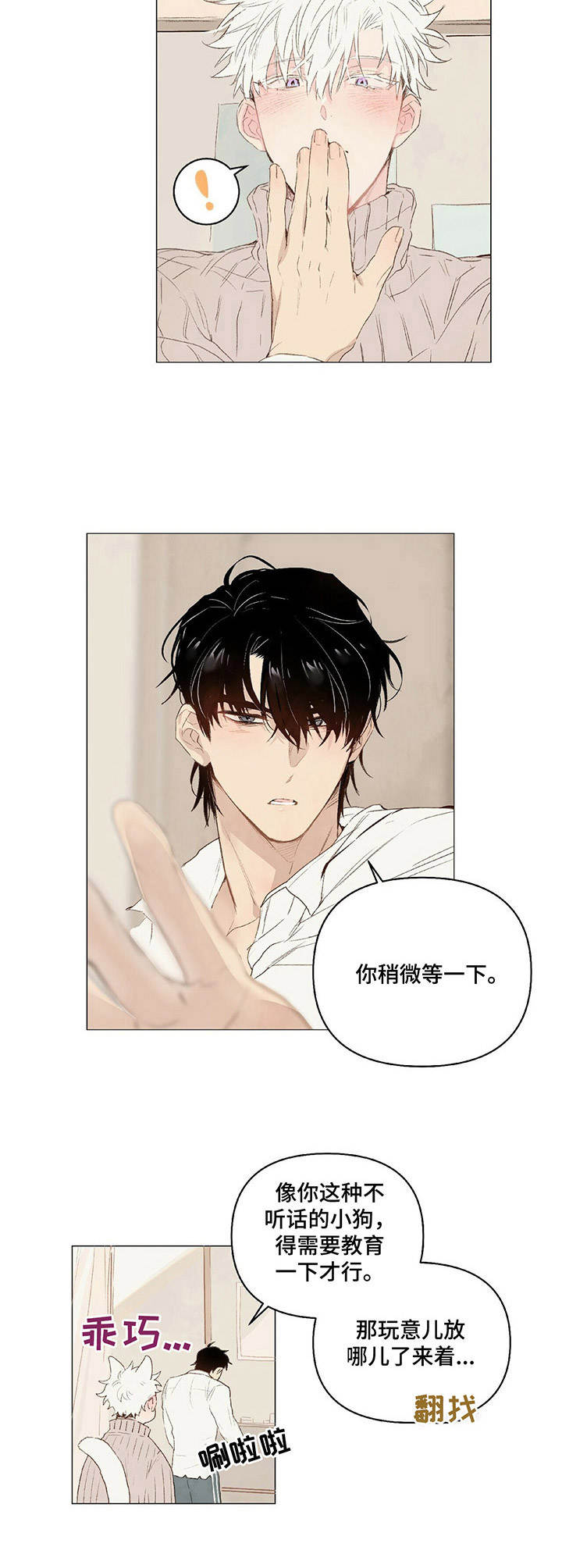 第19章：领回家8