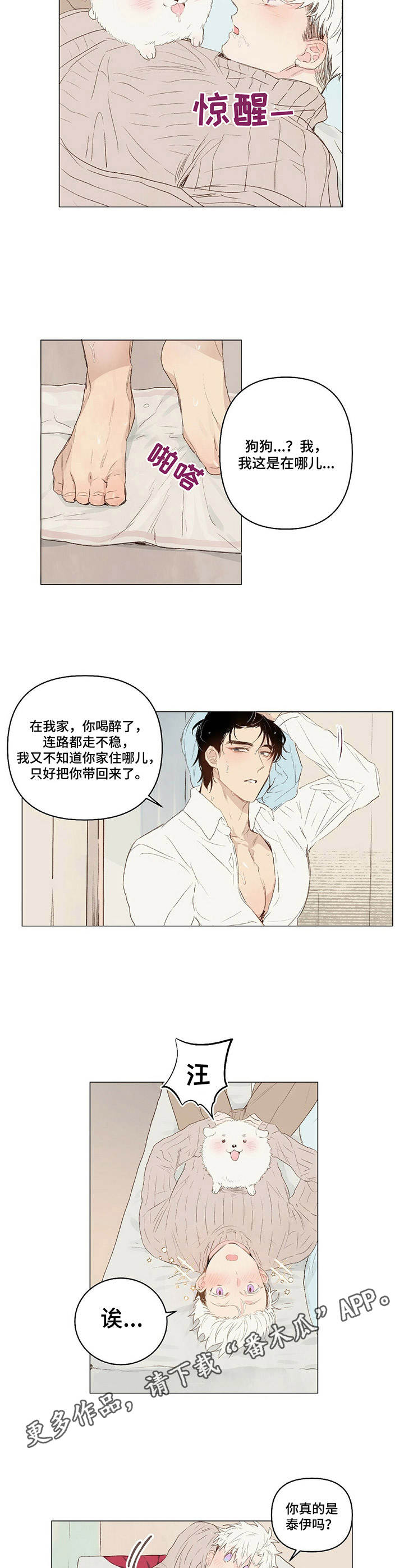 第19章：领回家2