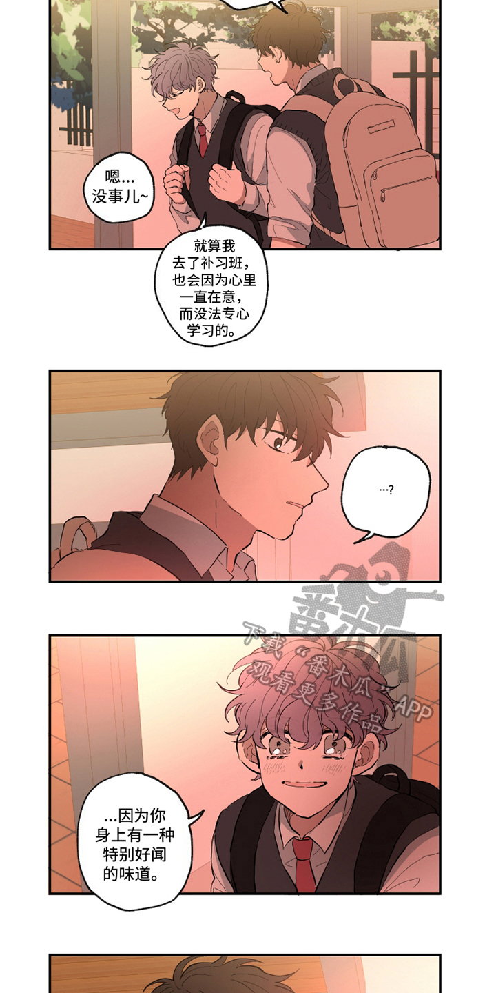 第14章：味道2