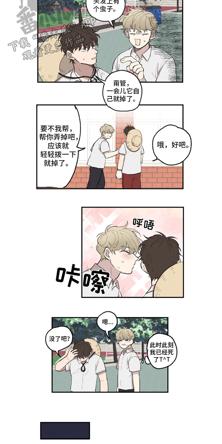 第29章：执行1