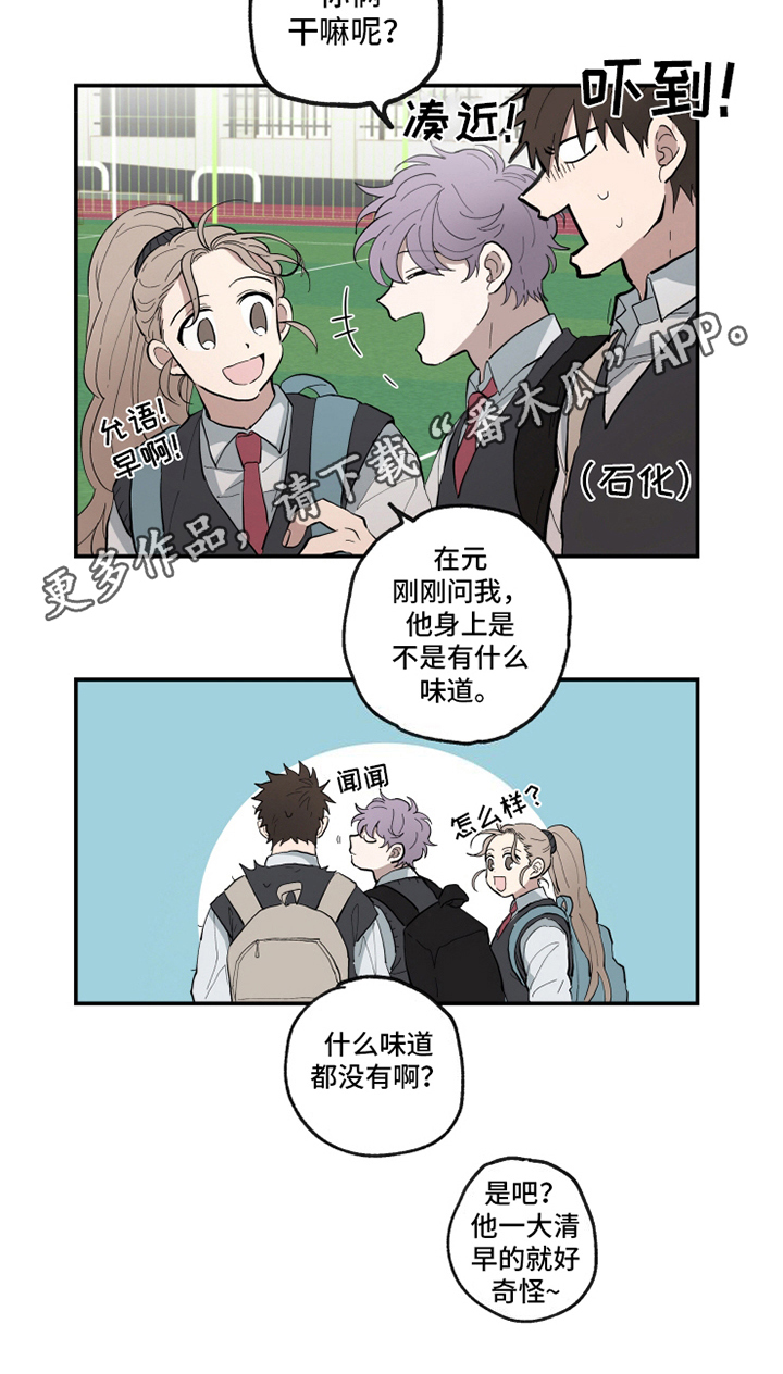 第14章：味道10