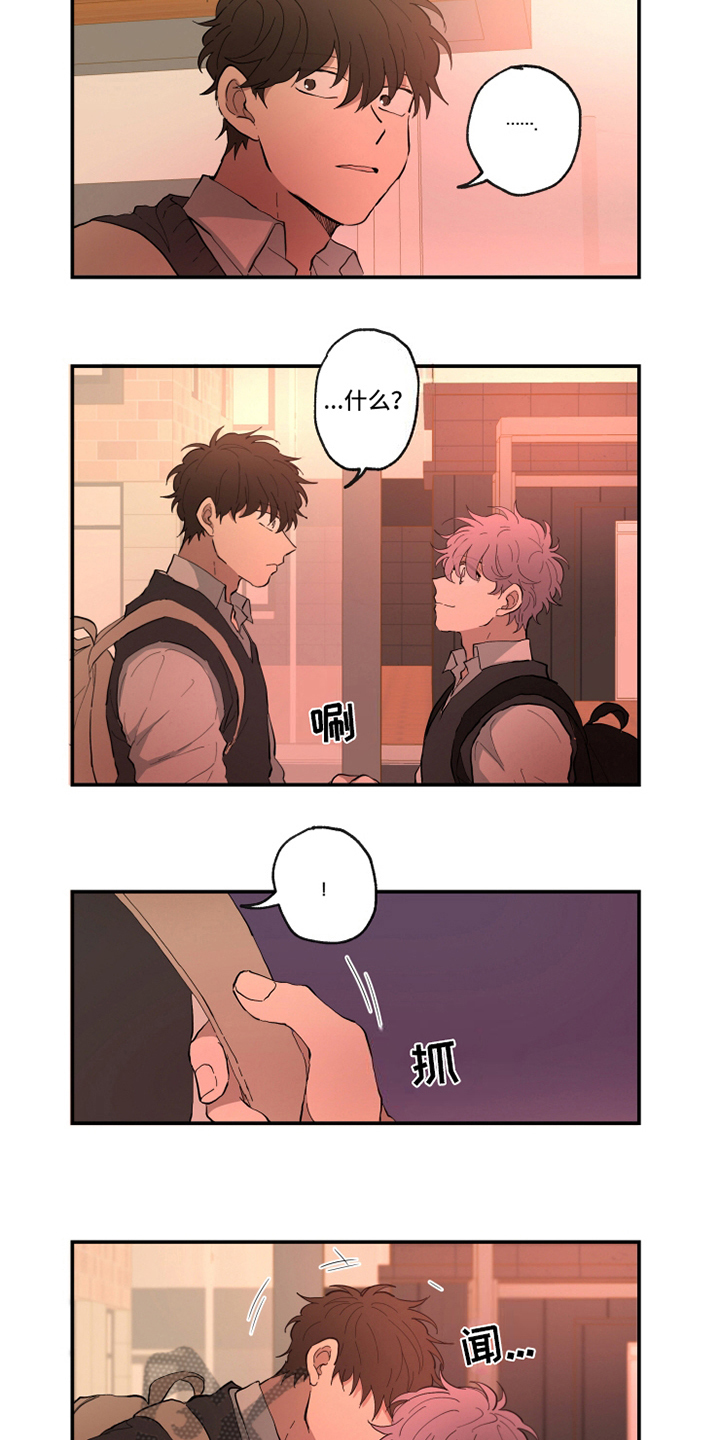 第14章：味道3