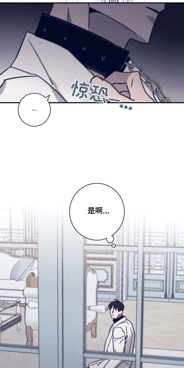 第91章：【第二季】希望你能理解15