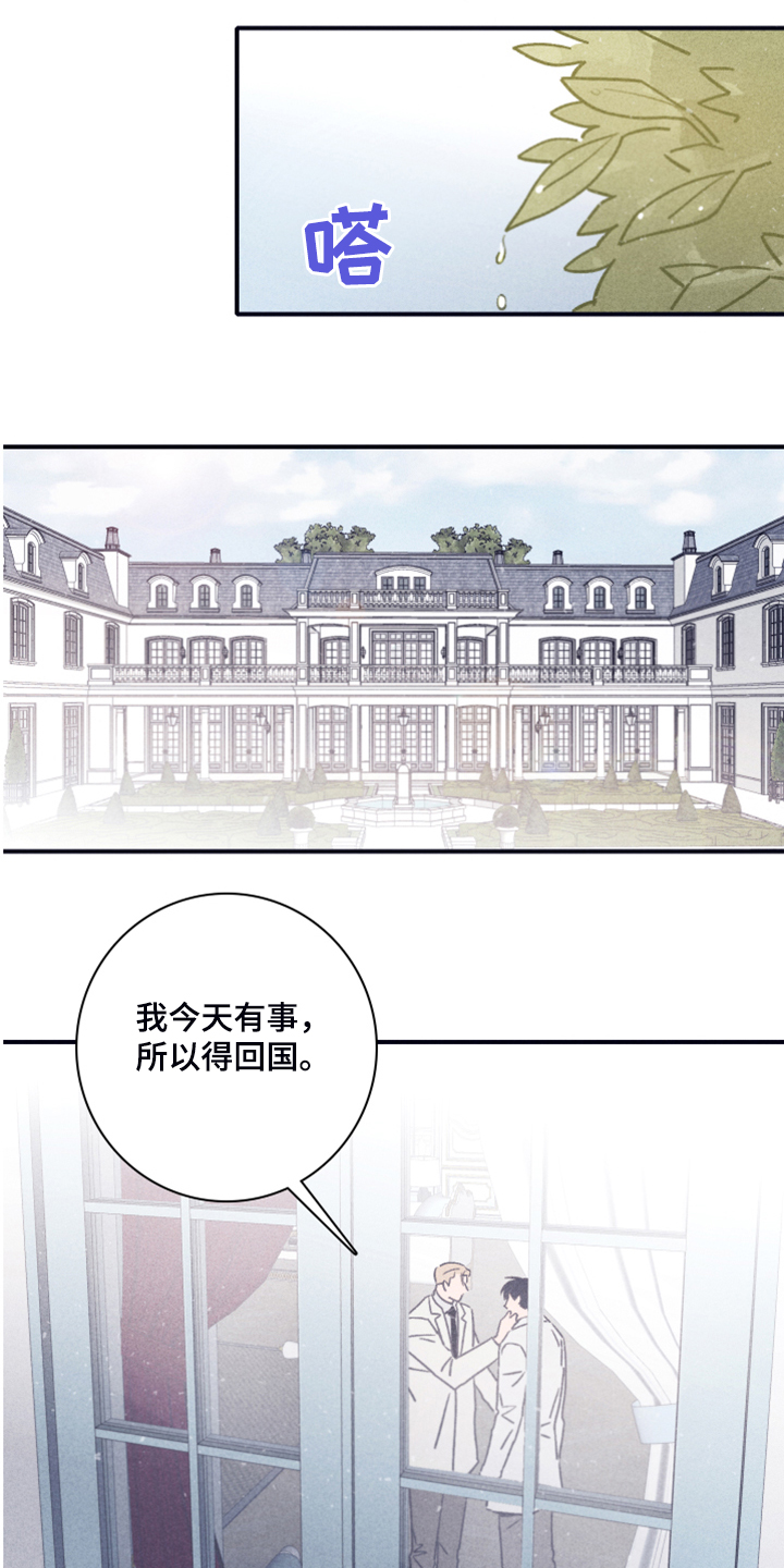 第82章：【第二季】索菲亚死了0