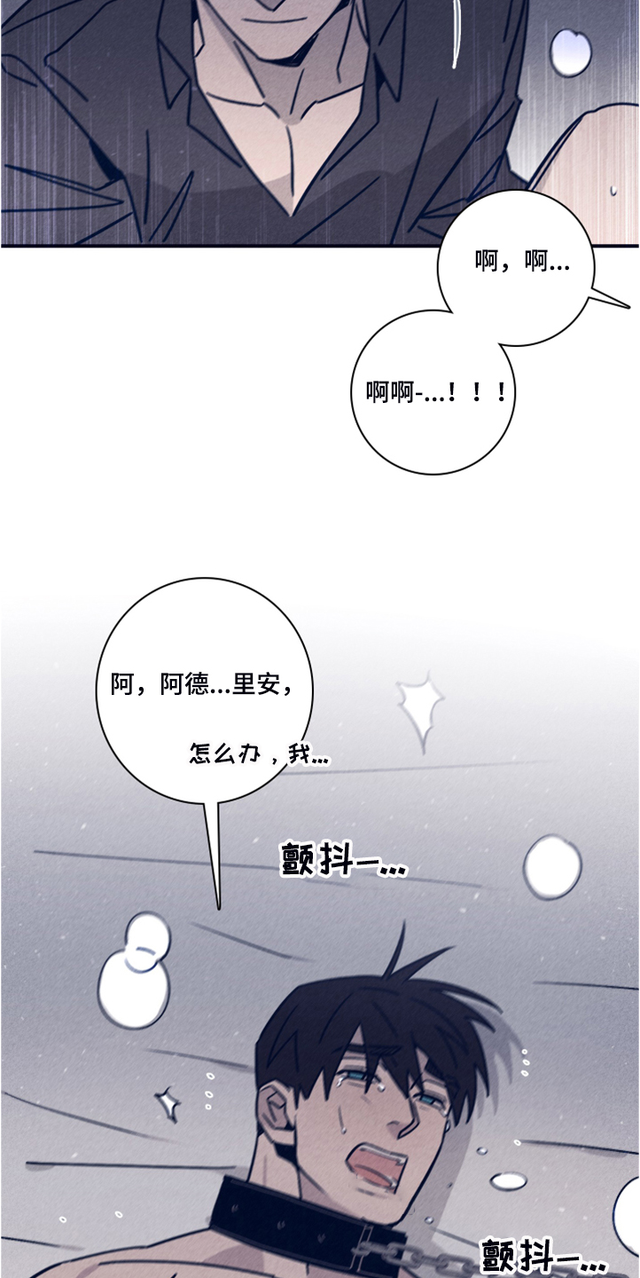 第99章：【第二季】看来是对的14