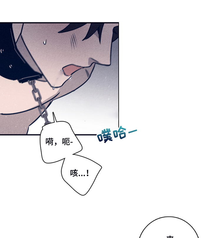 第98章：【第二季】加大剂量11