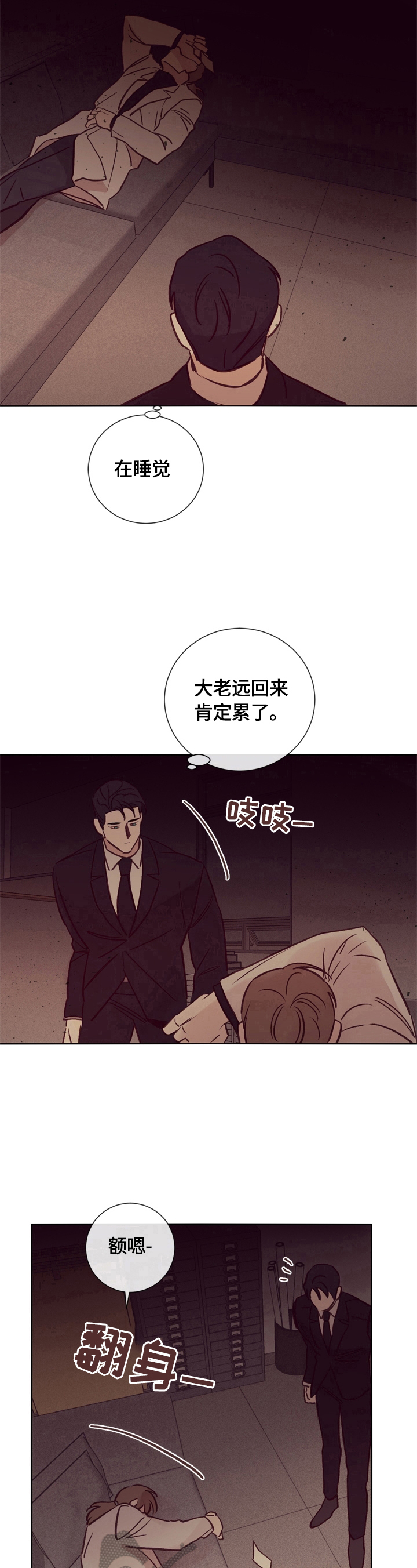 第29章：照片13
