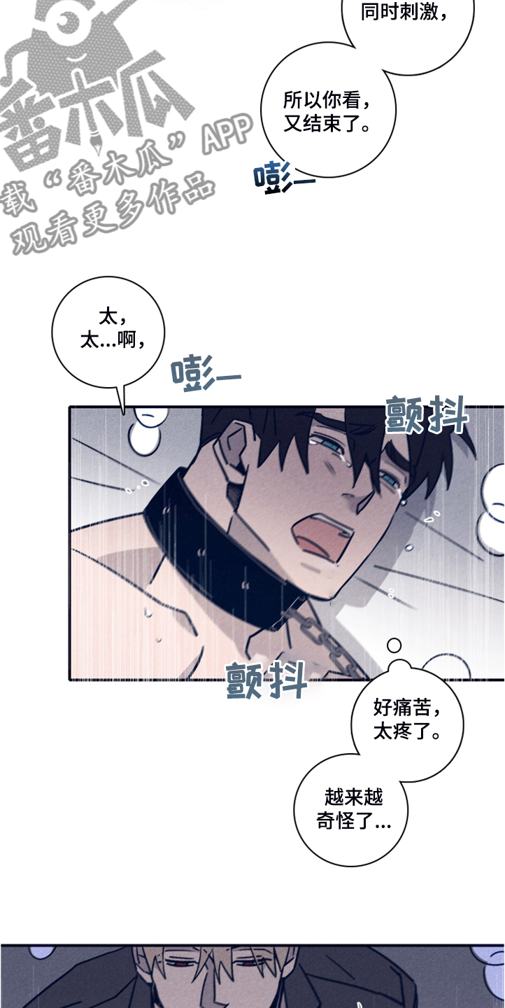第99章：【第二季】看来是对的13