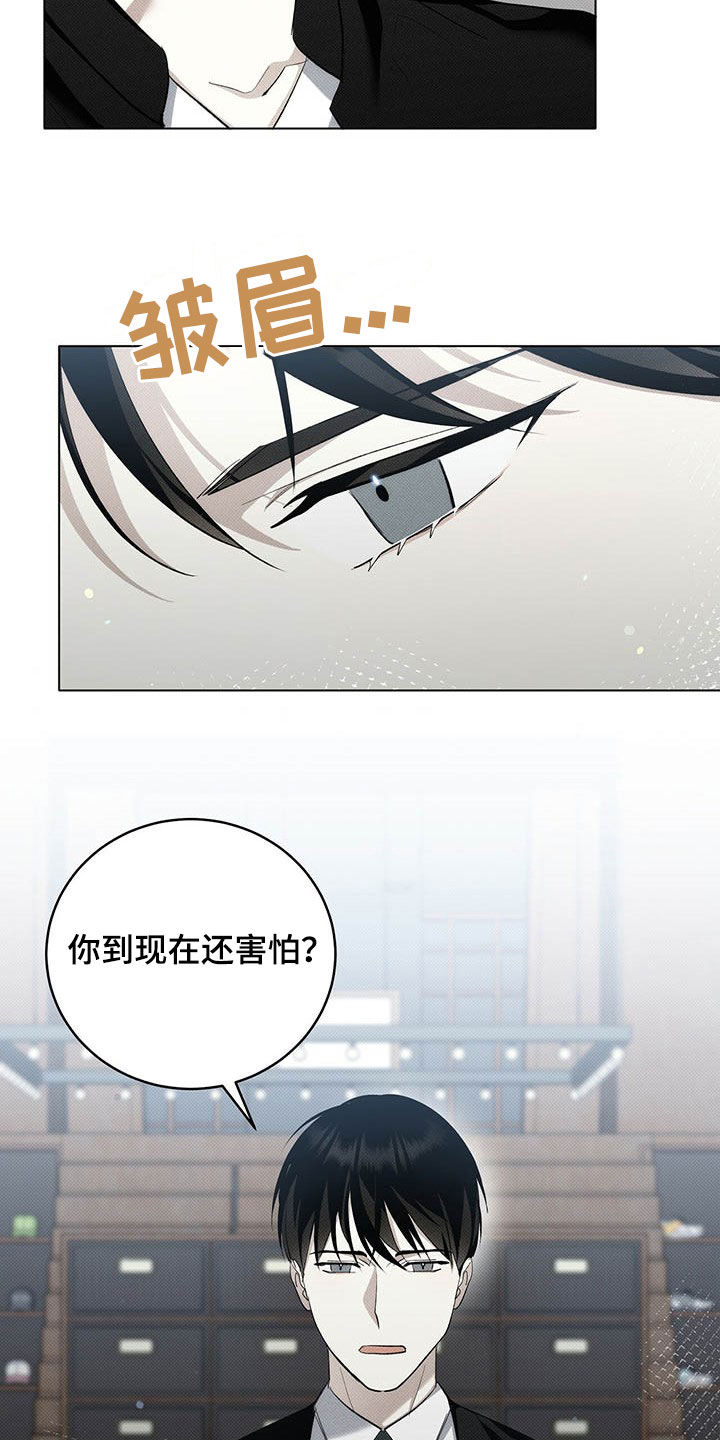第16章：补品11