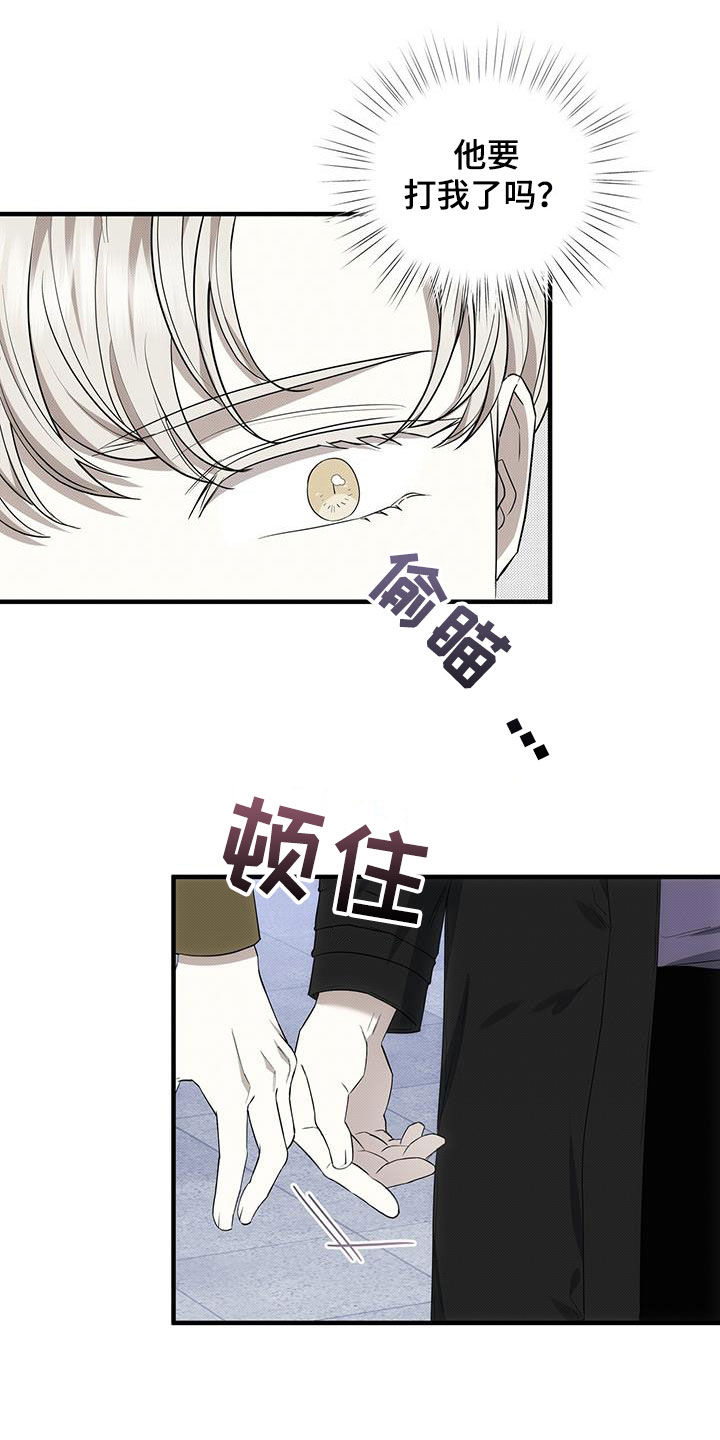 第81章：他没打我8