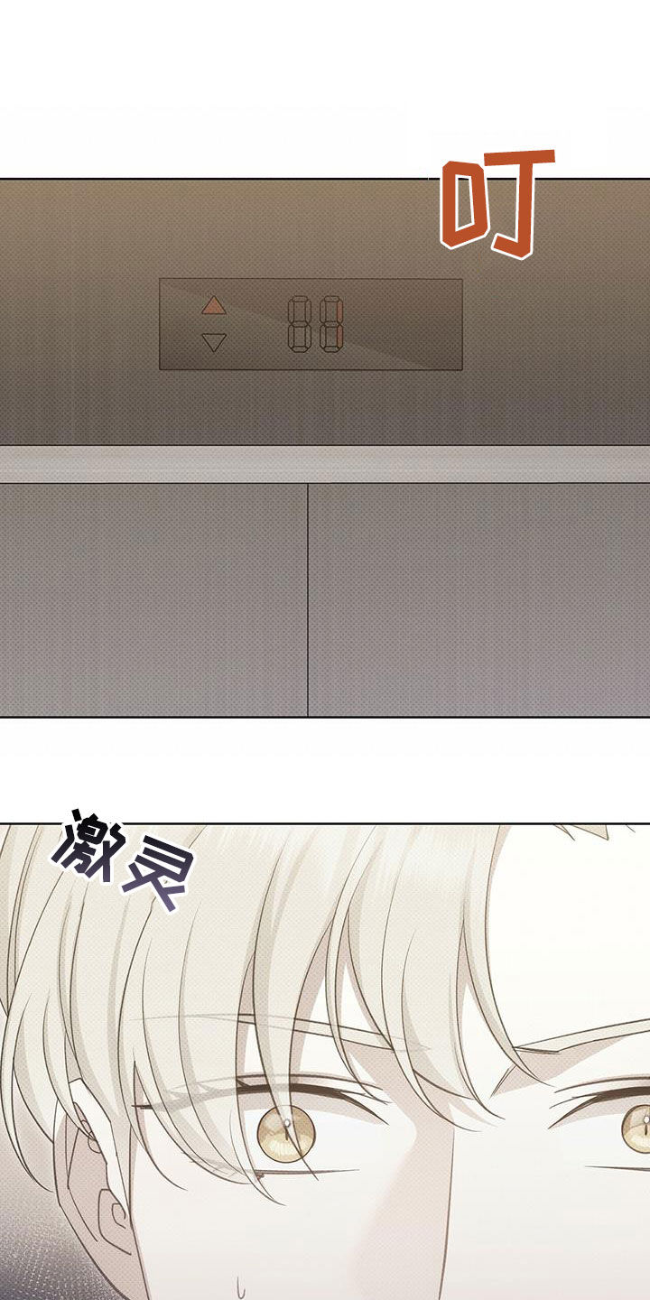 第60章：更烦了19